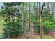 Gated backyard with wooded area and a lot of privacy at 4086 Norton Se Pl, Smyrna, GA 30082
