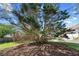 Backyard view featuring a large mature tree providing ample shade on a sunny day at 4070 Amber Leaf Dr, Roswell, GA 30076