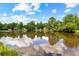 Beautiful tranquil lake view reflecting the sky and surrounding trees, offering a peaceful retreat at 9283 Whaleys Lake Ln, Jonesboro, GA 30238