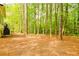 Spacious backyard featuring lush trees and natural ground cover for a serene, private setting at 2433 Helmsdale Ne Dr, Atlanta, GA 30345