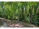 Lush wooded backyard featuring mature trees and landscaping creating a serene natural setting at 4152 Club Ne Dr, Atlanta, GA 30319