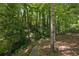 Lush wooded backyard featuring mature trees and landscaping creating a serene natural setting at 4152 Club Ne Dr, Atlanta, GA 30319