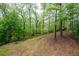 Wide, sloped backyard with mature trees and green grass at 350 Spring View Ct, Dallas, GA 30157