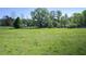 Expansive green backyard with mature trees and open space perfect for recreation at 362 Mcgiboney Rd, Covington, GA 30016