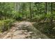 Long, winding driveway through lush, mature trees providing a private entrance to the property at 5251 Powers Ferry Rd, Atlanta, GA 30327