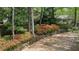 Long winding driveway framed by natural landscape and colorful rhododendrons approaching a serene home at 5251 Powers Ferry Rd, Atlanta, GA 30327