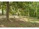 Spacious backyard featuring mature trees providing ample shade and natural beauty at 4301 Hidden Valley Rd, Decatur, GA 30035