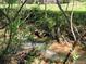 Picturesque view of a flowing stream with lush greenery, creating a tranquil environment at 60 Bartlett Way, Dallas, GA 30157