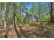 Home nestled among the trees and leaves, surrounded by woods at 770 Raleigh Sw Ct, Marietta, GA 30064