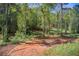 View of the naturally landscaped land, with vibrant greenery, mature trees and a rustic dirt road at 537 Craven Rd, Roopville, GA 30170
