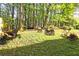 Large backyard with hammock, fire pit, seating, and lush greenery, perfect for outdoor relaxation and entertainment at 2557 Summit Cove Dr # 128, Duluth, GA 30097