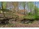 Back yard with a stream running through it, surrounded by a wooded area and mature trees, creates a serene outdoor oasis at 3665 Evonvale Gln, Cumming, GA 30041