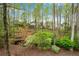 Backyard featuring mature trees and foliage in a wooded area at 3665 Evonvale Gln, Cumming, GA 30041