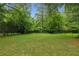 Large, flat, green backyard surrounded by mature trees and black chain-link fence at 389 Valley Brook Ne Dr, Atlanta, GA 30342