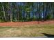 Beautiful backyard featuring a plush green lawn and line of mature trees at 1616 Ruskin Way, Marietta, GA 30062