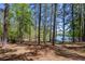 Wooded backyard leading to lake with boat dock, offering a serene and private setting at 934 Pine Cir, Woodstock, GA 30189