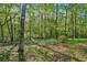Lush green backyard with mature trees providing privacy and a serene natural setting at 230 Oakmere Dr, Alpharetta, GA 30009