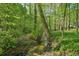 Backyard featuring a running creek surrounded by lush green trees at 230 Oakmere Dr, Alpharetta, GA 30009