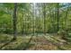 Lush green backyard with mature trees providing privacy and a serene natural setting at 230 Oakmere Dr, Alpharetta, GA 30009