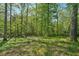 Lush green backyard with mature trees providing privacy and a serene natural setting at 230 Oakmere Dr, Alpharetta, GA 30009