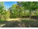 Spacious backyard area surrounded by mature trees, providing a serene outdoor space at 2320 Copper Trail Ln, Buford, GA 30519