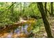 Scenic creek surrounded by lush greenery and trees, offering a peaceful natural setting at 2320 Copper Trail Ln, Buford, GA 30519