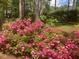 A beautifully landscaped backyard featuring vibrant pink azaleas and mature trees at 863 Fairwood Pointe Nw, Acworth, GA 30101