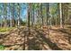 Relaxing backyard with hammock hung between mature trees, perfect for enjoying the outdoors at 1420 Lockridge Dr, Cumming, GA 30041