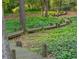 Picturesque backyard path with wooden walkway surrounded by vibrant greenery and mature trees at 1850 Winchester Trl, Brookhaven, GA 30341