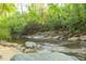 Scenic creek with rocky shoreline surrounded by lush green trees and foliage at 1850 Winchester Trl, Brookhaven, GA 30341