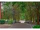 A serene view of a tree-lined pathway leading to a pond, creating a peaceful and inviting atmosphere at 245 N N Highland Ne Ave # 220, Atlanta, GA 30307