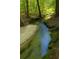 Scenic view of a winding stream through a lush, green forest at 1961 Flowering Dr, Grayson, GA 30017