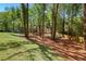 Expansive green yard featuring mature trees and lush lawn, offering a serene and private setting at 1183 Woods Ne Cir, Atlanta, GA 30324