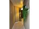Hallway with decorative plants and shelving at 3627 Mcclaren Way, Lawrenceville, GA 30044