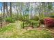 Lush backyard showcasing a wooden bridge, mature trees, and green grass at 204 Maple Creek Chase, Woodstock, GA 30188