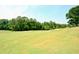 Expansive view of golf course fairway with green grass and mature trees on a sunny day at 204 Maple Creek Chase, Woodstock, GA 30188