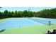 Outdoor tennis court with green and blue surface surrounded by black chain link fence and trees at 204 Maple Creek Chase, Woodstock, GA 30188