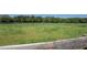 Picturesque view of the property showcasing expansive green pastures and mature trees at 5187 Parkview Rd, Social Circle, GA 30025