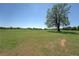 Open field with a mature tree, perfect for recreation or development at 5187 Parkview Rd, Social Circle, GA 30025