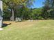 Grassy backyard with shed in the distance and lots of mature trees at 1276 Seattle Slew Ln, Norcross, GA 30093
