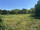 Expansive grassy land, framed by lush trees against a clear blue sky at 2085 Jones Phillips Rd, Dacula, GA 30019