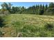 Extensive grass surrounds a plot of land lined with large mature trees at 2085 Jones Phillips Rd, Dacula, GA 30019