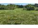 Large grass plot with fencing and mature trees around the perimeter at 2085 Jones Phillips Rd, Dacula, GA 30019