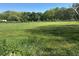 Open grassy area with tree line, ideal for building or recreation at 2085 Jones Phillips Rd, Dacula, GA 30019