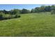 Extensive grass yard surrounded by a mix of mature trees and lush greenery at 2085 Jones Phillips Rd, Dacula, GA 30019