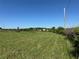 Open grassy lot with scattered trees and utility poles, offering ample space for development at 2085 Jones Phillips Rd, Dacula, GA 30019