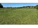 Expansive green lot with mowed grass, offering a beautiful landscape and potential building space at 2085 Jones Phillips Rd, Dacula, GA 30019