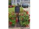 Beautifully landscaped front yard featuring a mailbox surrounded by vibrant, colorful flowers at 3657 Clearbrooke Ct, Duluth, GA 30097