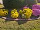 Lush front yard featuring vibrant yellow and purple mums, enhancing curb appeal at 3657 Clearbrooke Ct, Duluth, GA 30097