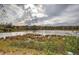 Scenic pond view with lush vegetation and cloudy skies, enhancing the natural appeal of the community at 419 Murphy Ave, Canton, GA 30114